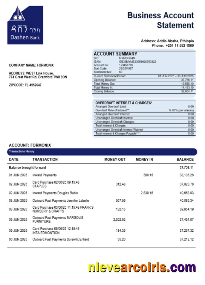 Dashen bank company statement